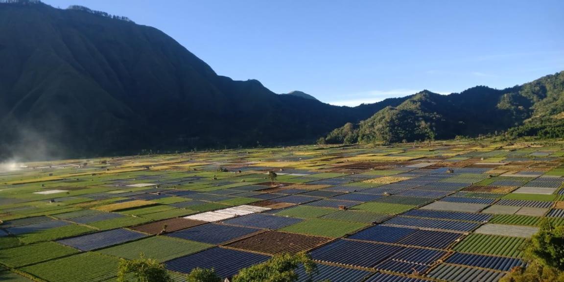 Rinjani Hill Hotel ซัมบาลัง ลาวัง ภายนอก รูปภาพ