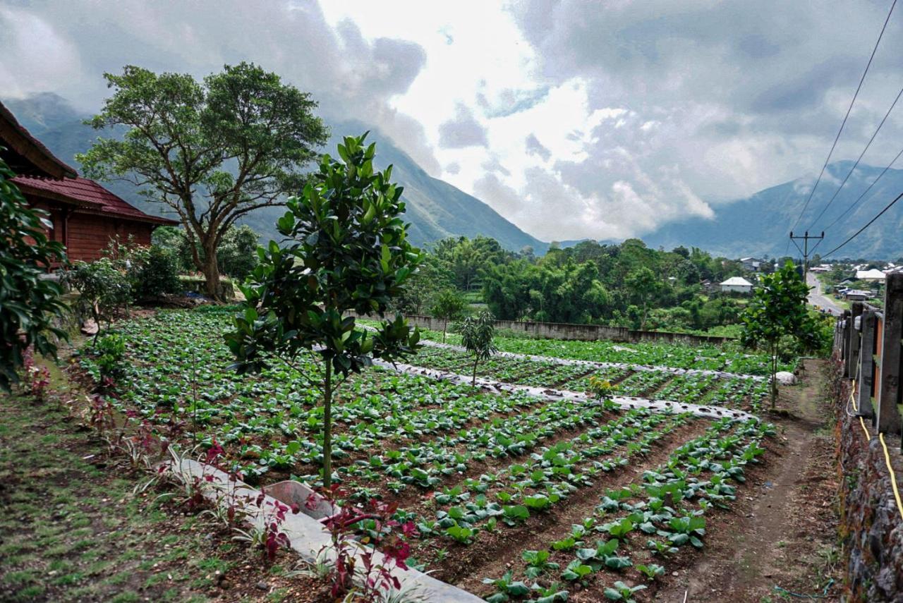 Rinjani Hill Hotel ซัมบาลัง ลาวัง ภายนอก รูปภาพ
