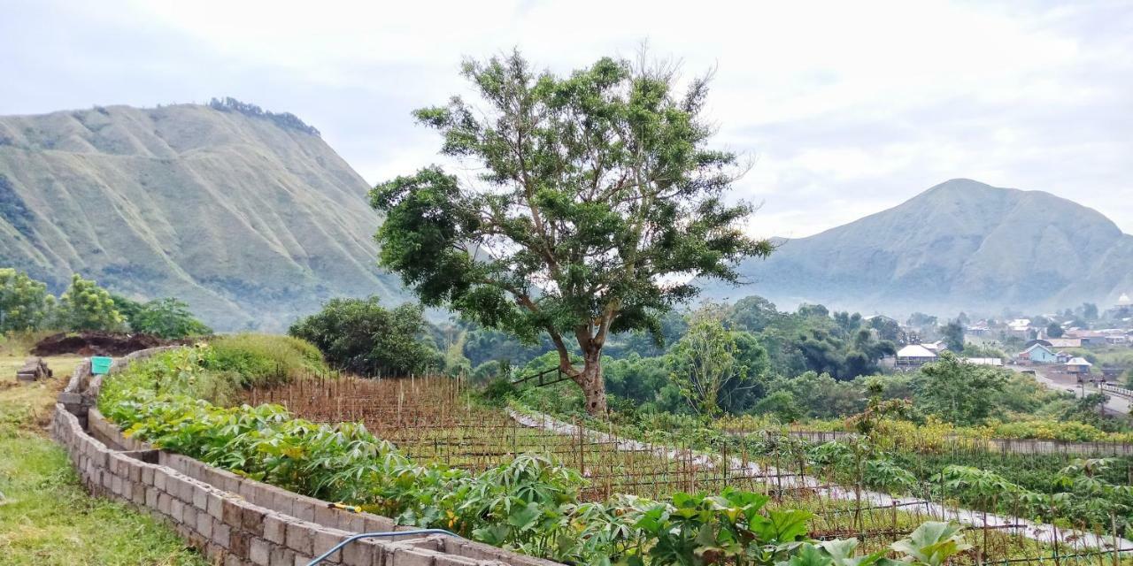 Rinjani Hill Hotel ซัมบาลัง ลาวัง ภายนอก รูปภาพ